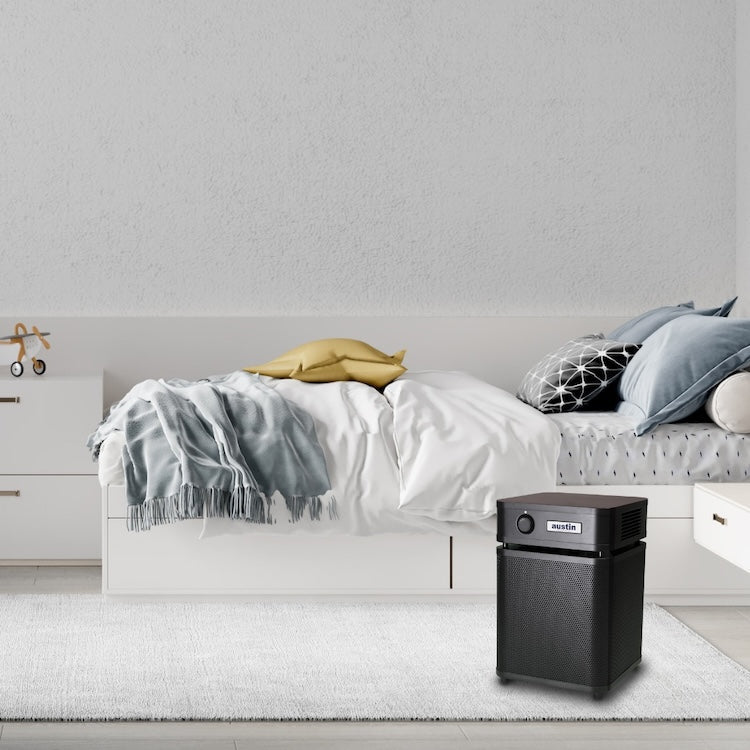 Austin Air HealthMate Plus Junior Air Purifier